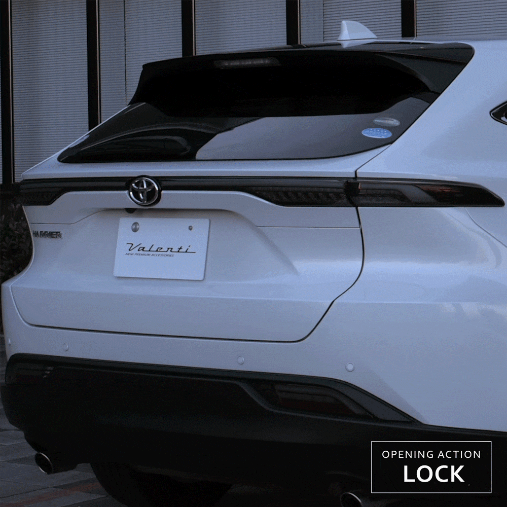 tt80hau-OEA-end Venza OEA End