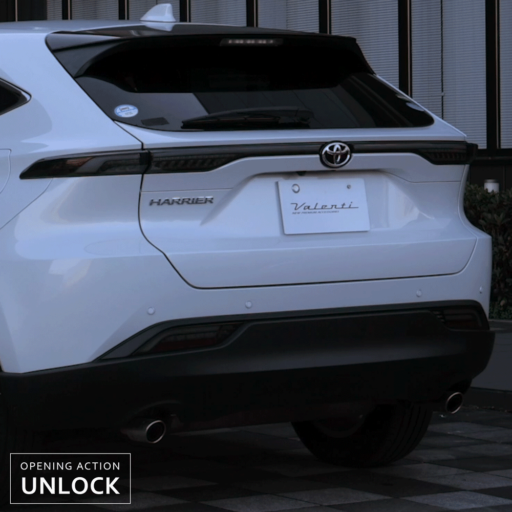 tt80hau-OEA-start Venza OEA Start